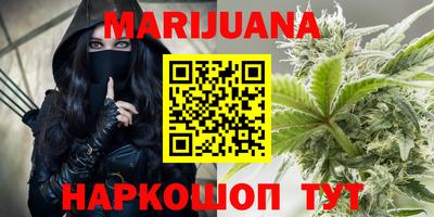 гашик Кандалакша