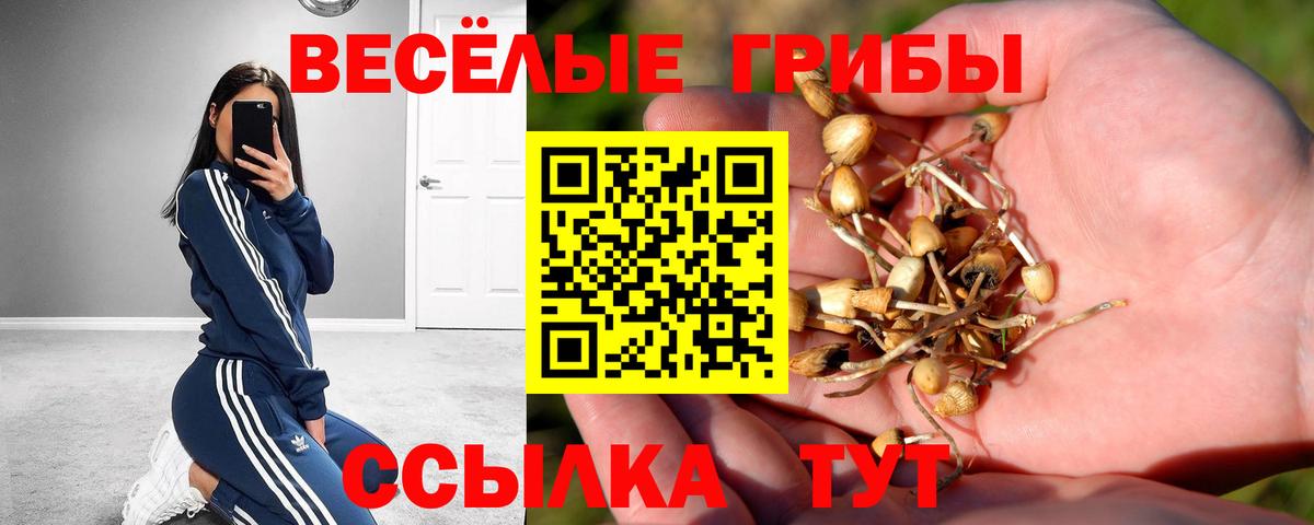 Карпинск  Галлюциногенные грибы ЛСД  Вход с VPN 